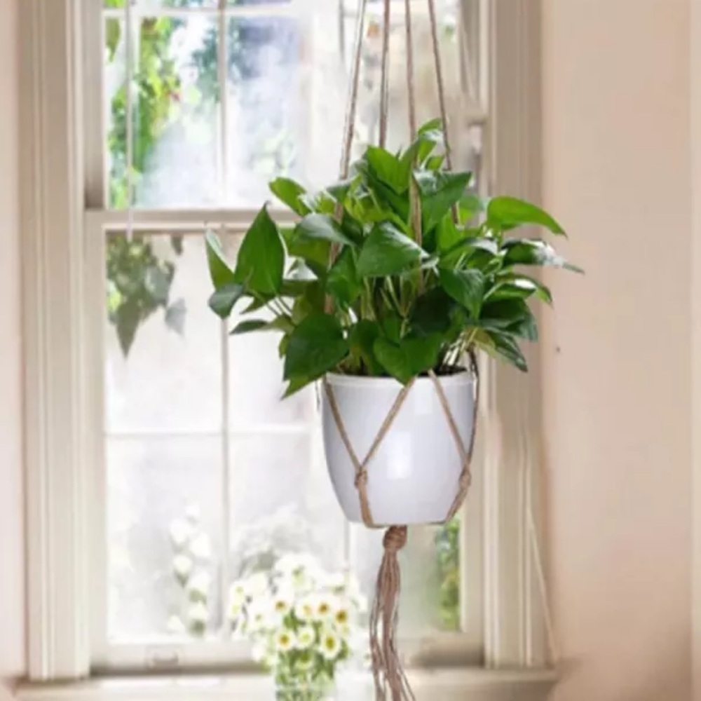 plant macrame